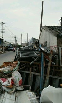 浙江再生資源回收利用 構建綠色循環經濟新格局——第23頁網優再生網供求觀察